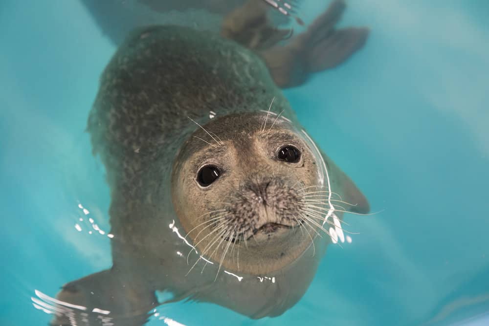  Photo: National Aquarium 