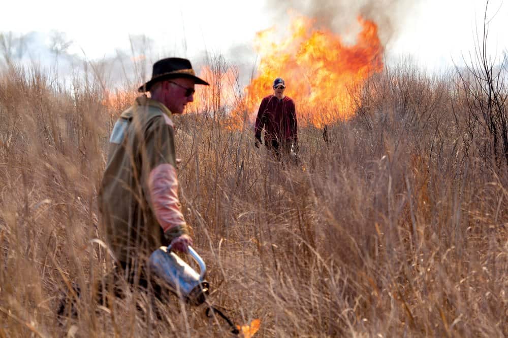   Dan Small and landowner Harry Sears use a controlled fire to manage part of a warm season grassland at The River and Field Campus.  Will Parson/Chesapeake Bay Program 