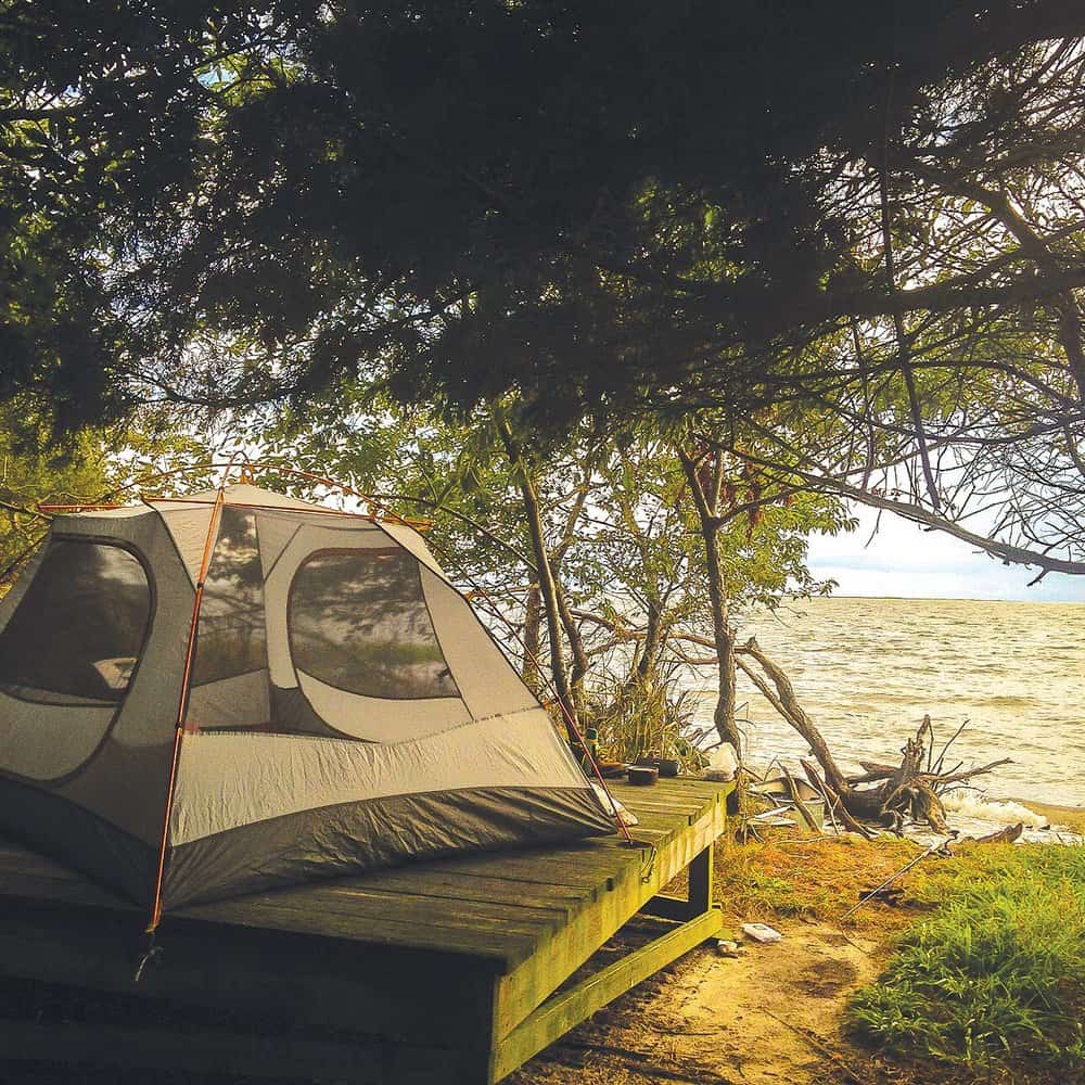   A cozy Long Point campsite overlooking Old House Cove.  Photo by  Ashley Stimpson  