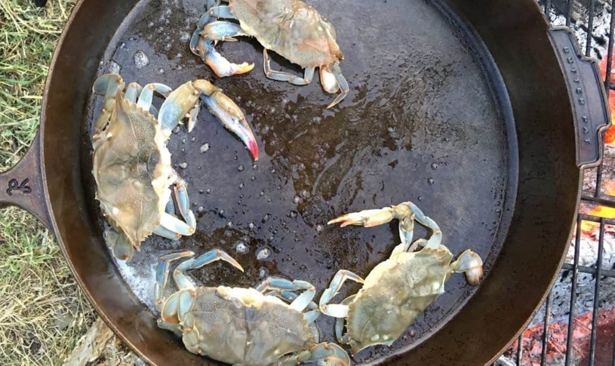 Cooking Rockfish Right Chesapeake Bay Magazine