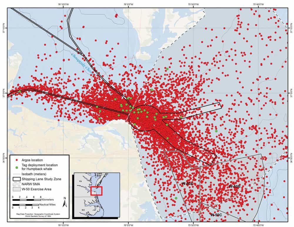   Whale contacts near the mouth of the Chesapeake Bay. Green dots are whale tagging locations. Red dots are satellite pings recorded when the whales breach. (Click to enlarge)   Courtesy   Aschettino et al. 2018/ navymarinespeciesmonitoring.us 