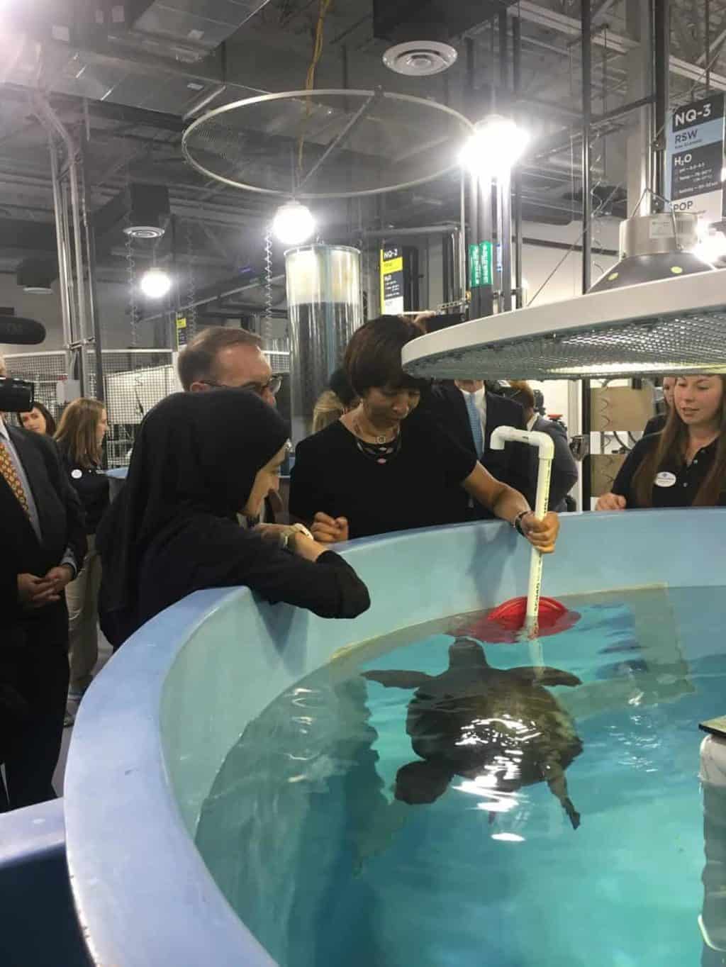 National Aquarium Opens CuttingEdge Animal Rescue Center Chesapeake