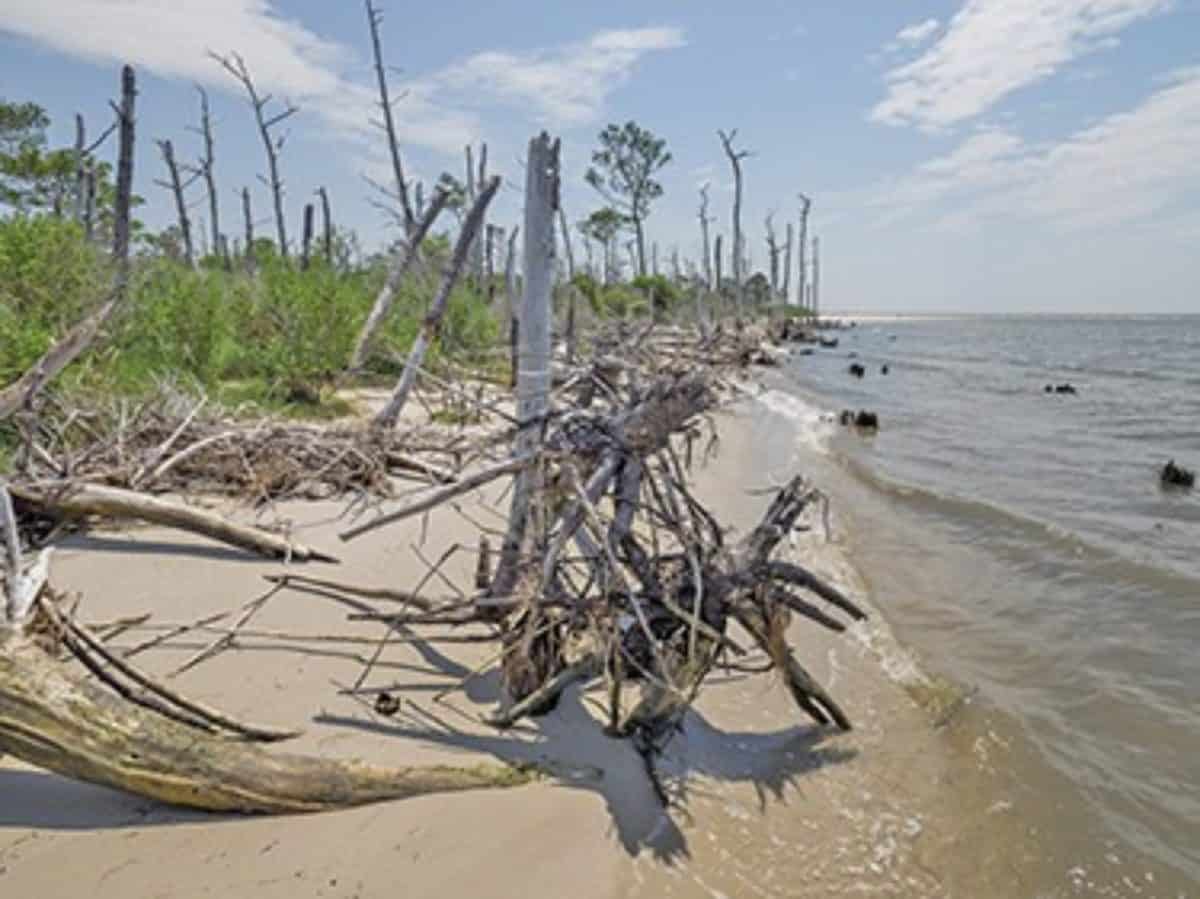 Study Will Restoration of Deal Island's Lost Dunes Halt Flooding