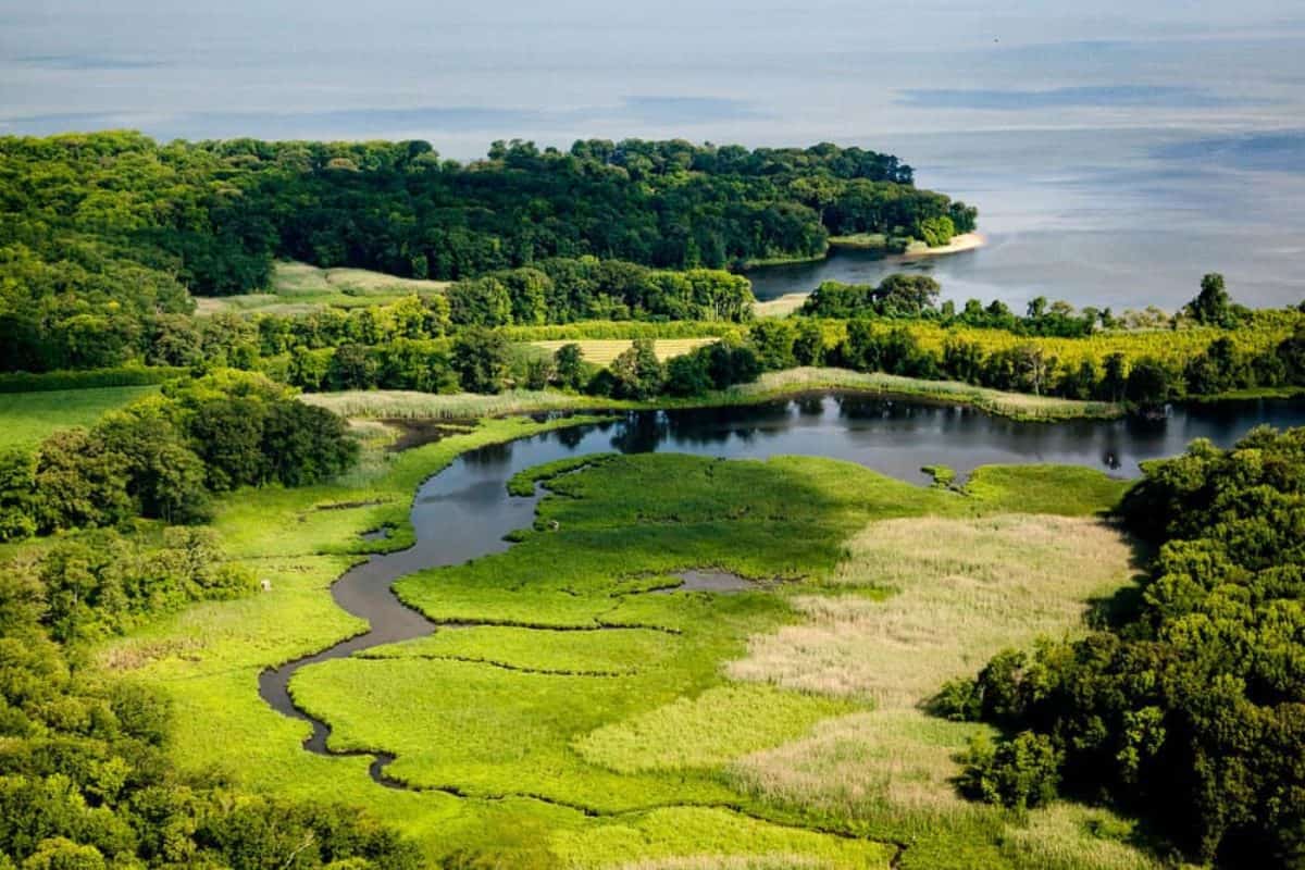 SOLD Hooper Island Lighthouse Auction Closed after Flurry of Bids Chesapeake Bay Magazine