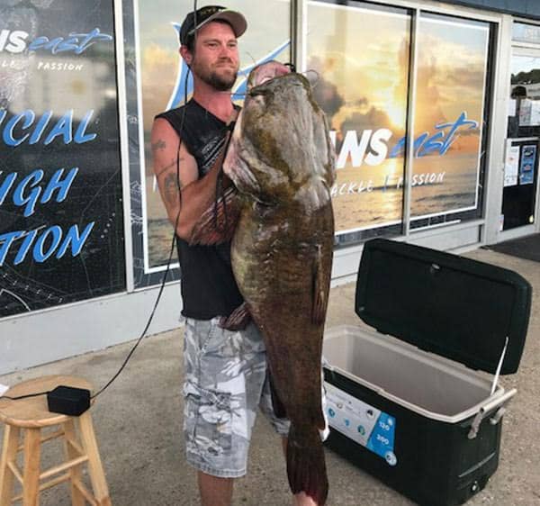  Jeffrey E. Dill hooked this 68-pound, 12-pound flathead catfish while fishing Lake Smith near Virginia Beach to set the new state record for that species. (Photo courtesy of Oceans East/VA Dpt. of Game & Inland Fisheries) 