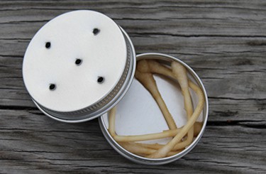  In training, the search scent is placed inside tins with air holes, which are then placed within the search area. The dog is rewarded for locating and signaling the found scent. Some of these tins contain no scent to prevent the dog from searching for tins only. (Ann Nowaskie / Middle Susquehanna Riverkeeper Association, Inc.) 