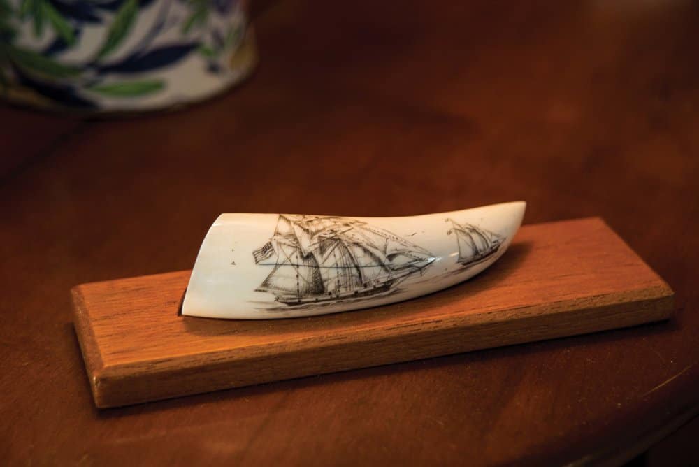  A two-dollar tooth,  carved to Hecklinger’s specifications. Photo by Joe Evans, 