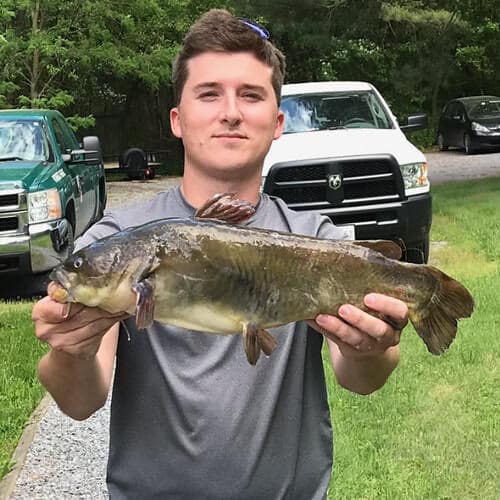  Nick Palese of Baltimore City claimed the state’s non-tidal record for bullhead catfish by landing a 4.94-pounder on May 18 while fishing from his kayak at Big Gunpowder Falls in Baltimore County. Photo courtesy Nick Palese/Maryland Department of Natural Resources  