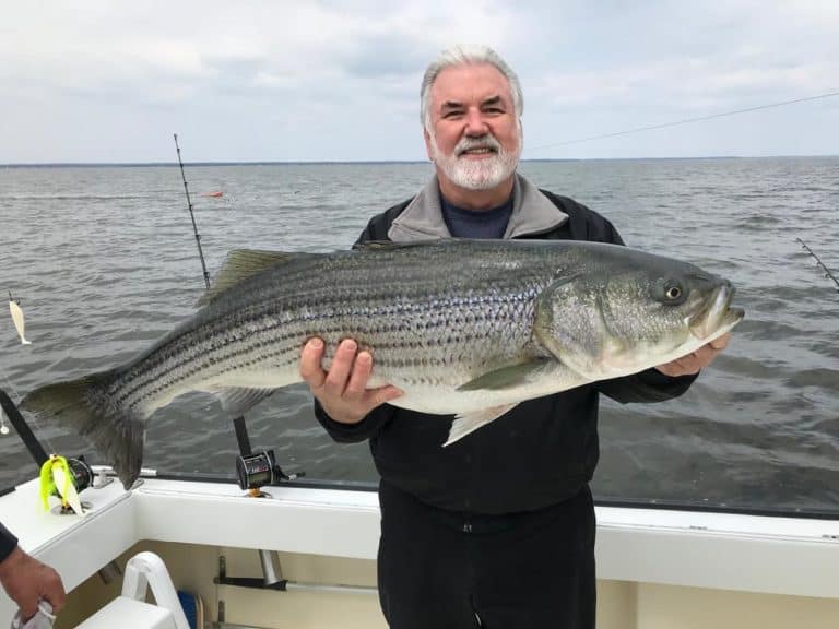 Wild Chesapeake Weather Hampers Scouting for Trophy Rockfish Chesapeake Bay Magazine