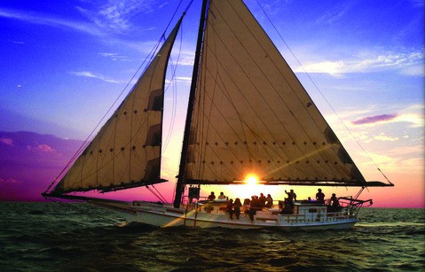 skipjack sailboat for sale