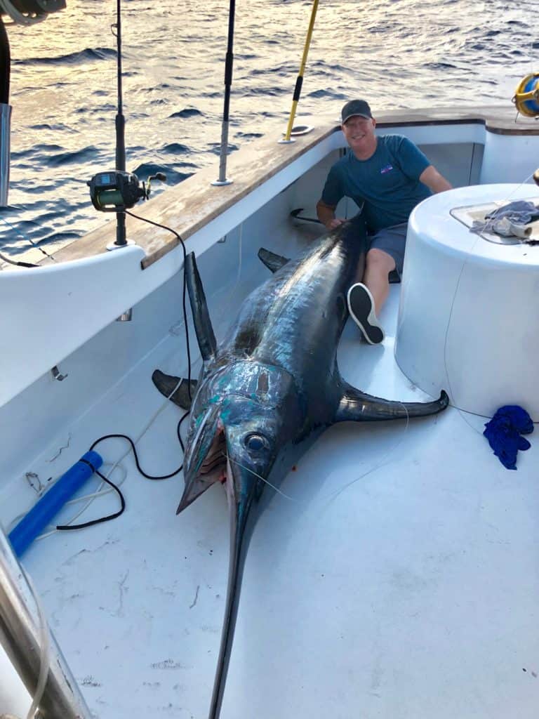 Wild Chesapeake State Record Swordfish Caught in Va. Chesapeake Bay