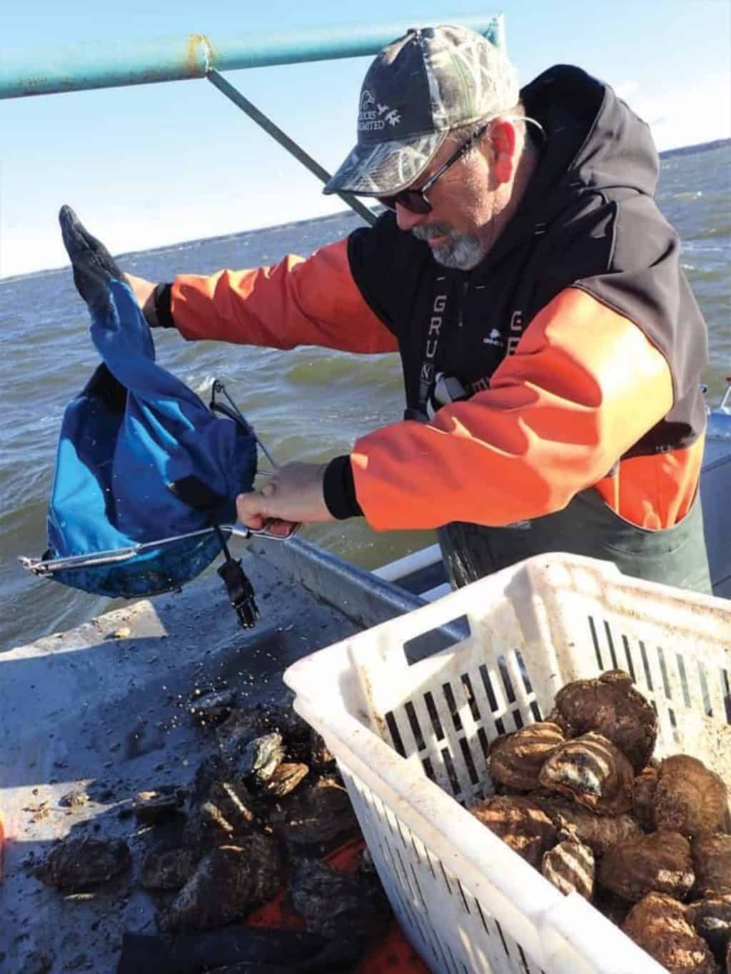 Maryland’s Eastern Shore Rockfish Crab Imperial Chesapeake Bay Magazine
