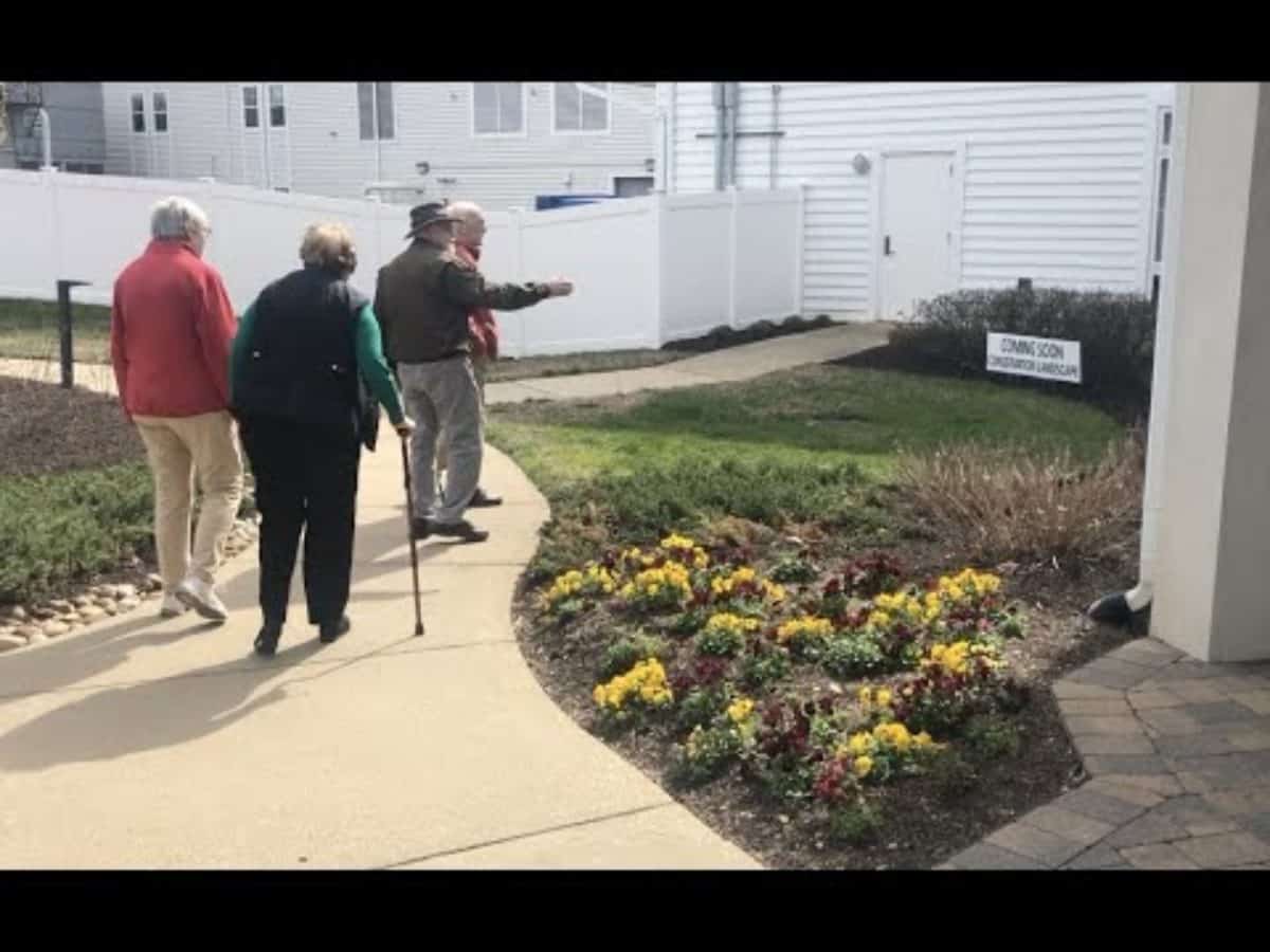 VIDEO Kent Island Crab Basket Tree Lights up for Waterman Chesapeake