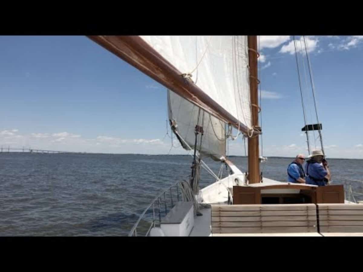 VIDEO Kent Island Crab Basket Tree Lights up for Waterman Chesapeake