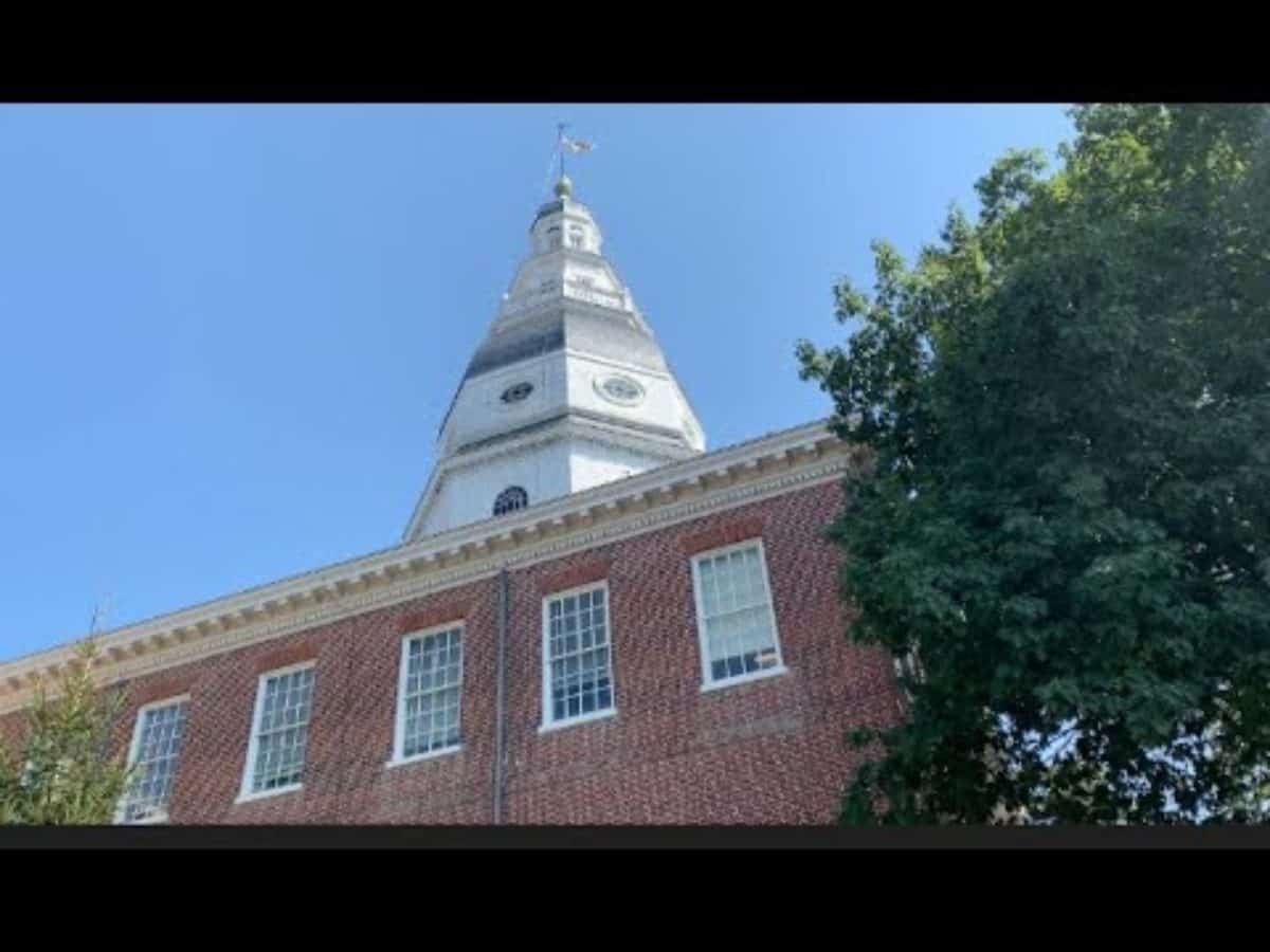 VIDEO Kent Island Crab Basket Tree Lights up for Waterman Chesapeake