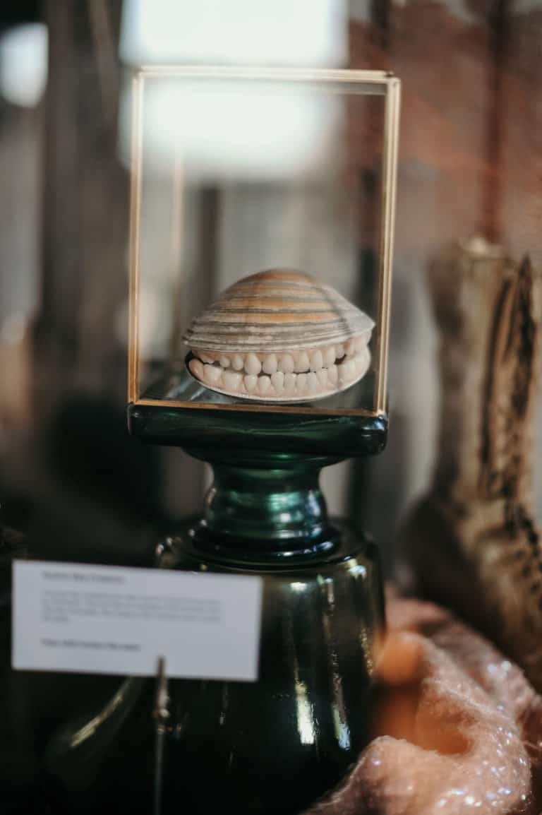 East Coast's 1st Mermaid Museum Open in Berlin, Md. Chesapeake Bay Magazine