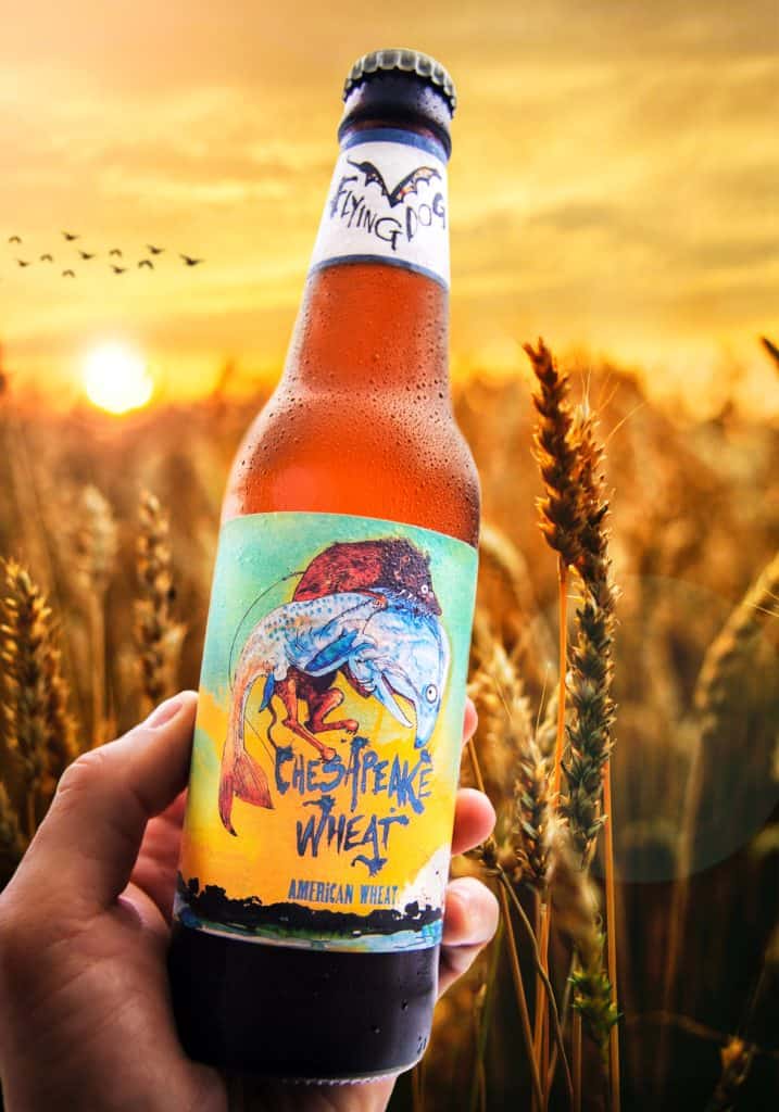 10 Oysters per Beer New Chesapeake Wheat Ale Raises Restoration Funds