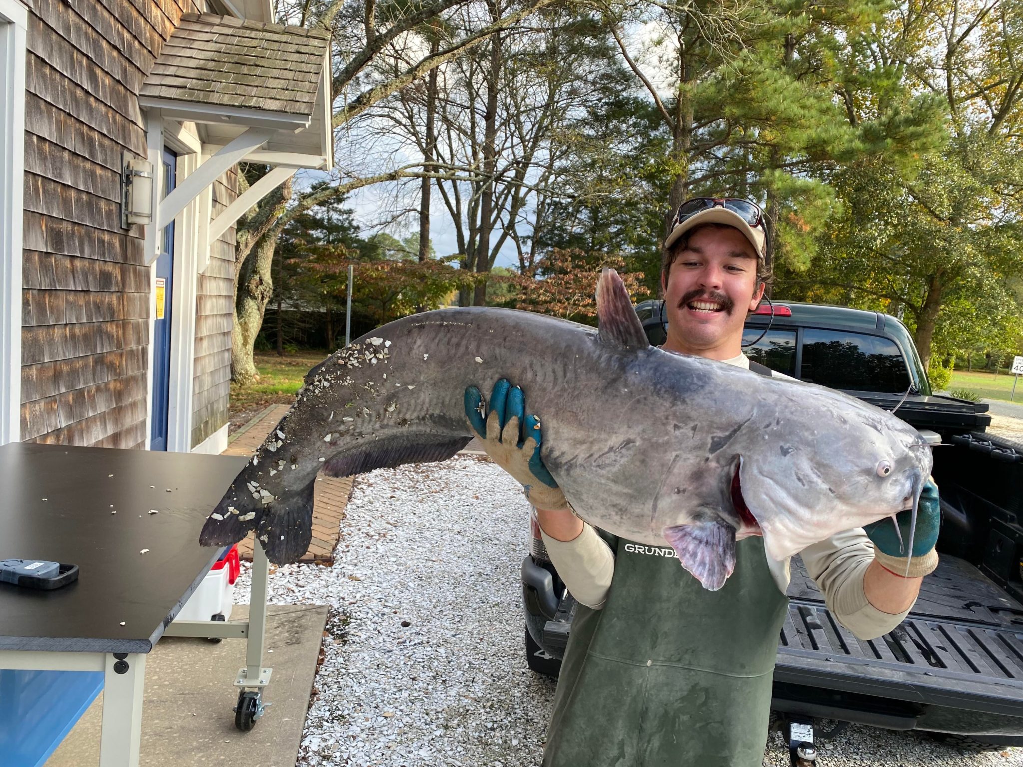 VIDEO Blue Catfish Caught with Entire Wood Duck in Stomach Chesapeake Bay Magazine
