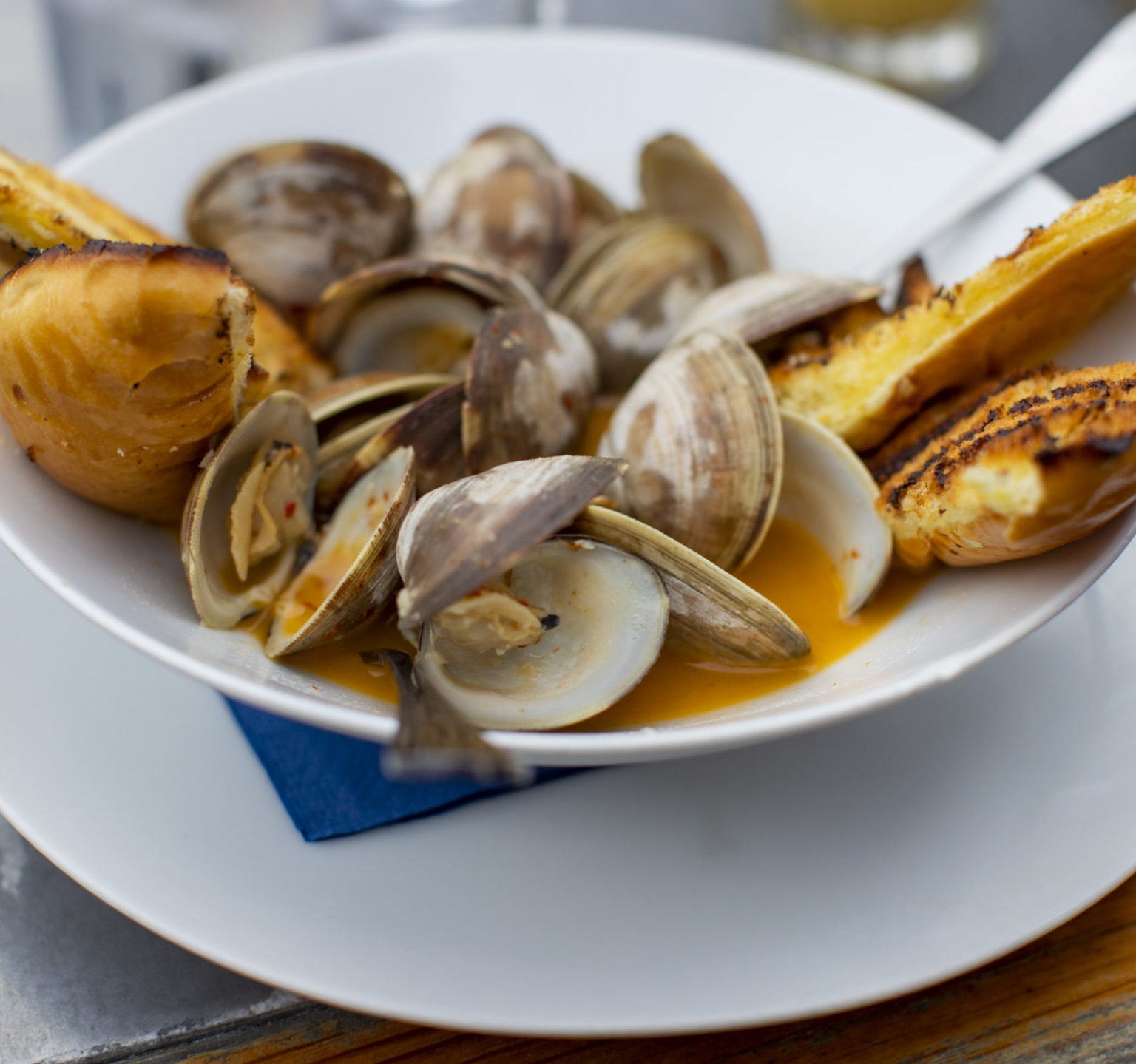 Happy as a Clam Chesapeake Bay Magazine