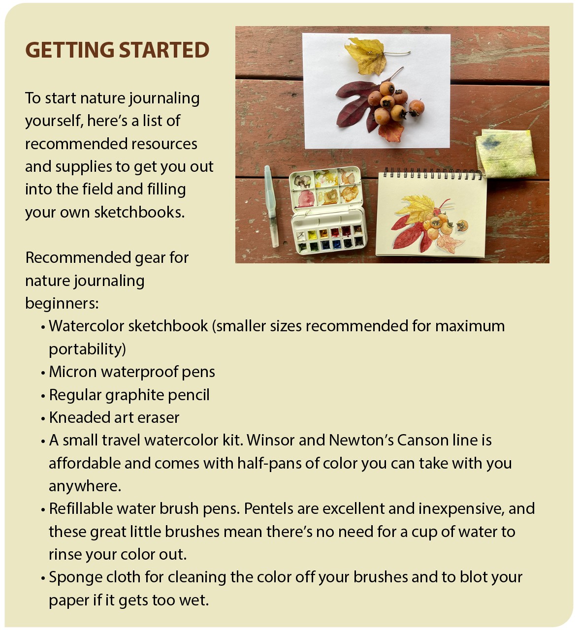 To start nature journaling yourself, here’s a list of recommended resources and supplies to get you out into the field and filling your own sketchbooks.

Recommended gear for nature journaling beginners:
Watercolor sketchbook (smaller sizes recommended for maximum portability)
Micron waterproof pens
Regular graphite pencil
Kneaded art eraser
A small travel watercolor kit. Winsor and Newton’s Canson line is affordable and comes with half-pans of color you can take with you anywhere.
Refillable water brush pens. Pentels are excellent and inexpensive, and these great little brushes mean there’s no need for a cup of water to rinse your color out.
Sponge cloth for cleaning the color off your brushes and to blot your paper if it gets too wet.