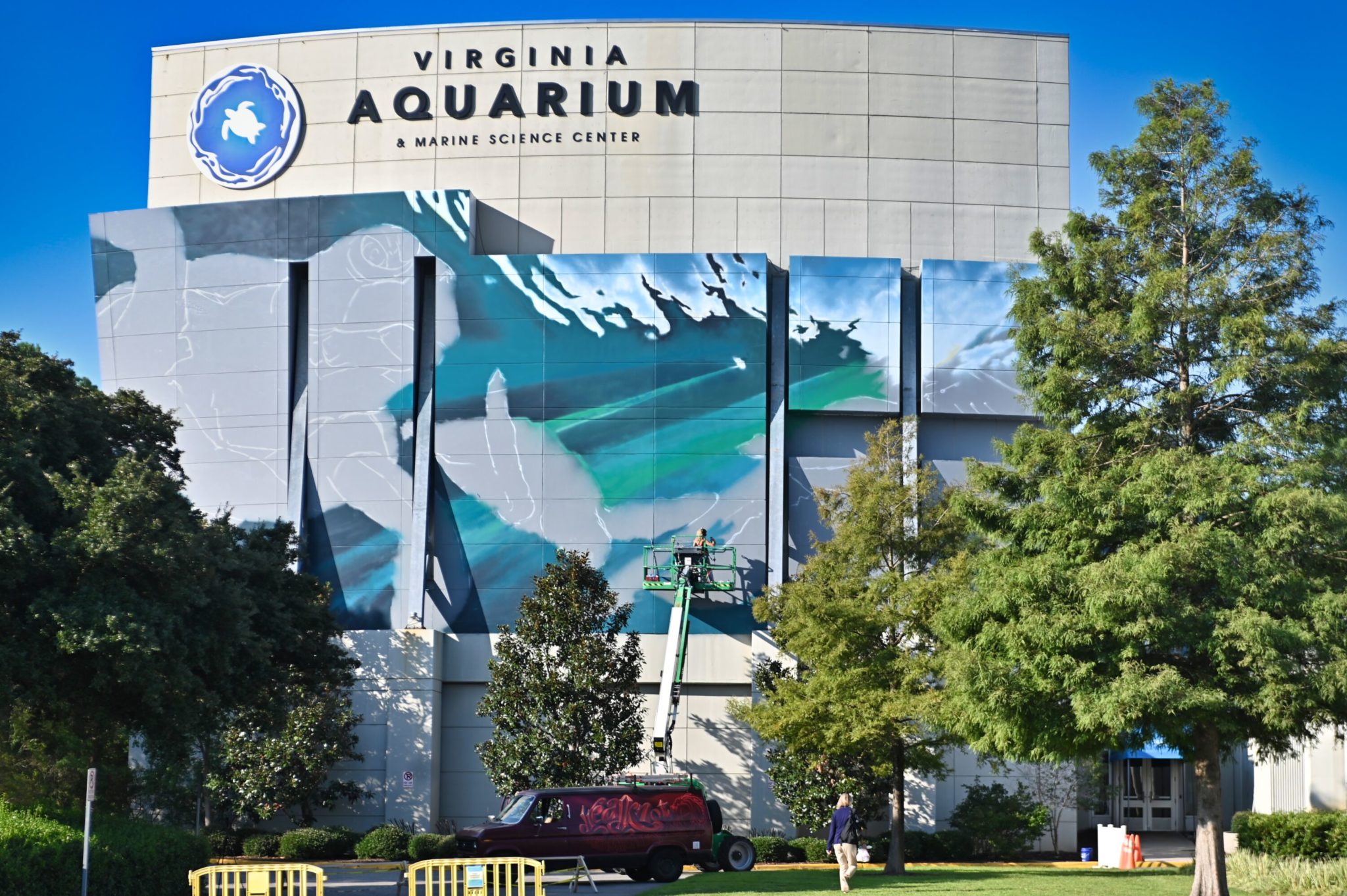 Lofty New Sea Turtle Mural to Greet Va. Aquarium Visitors Chesapeake