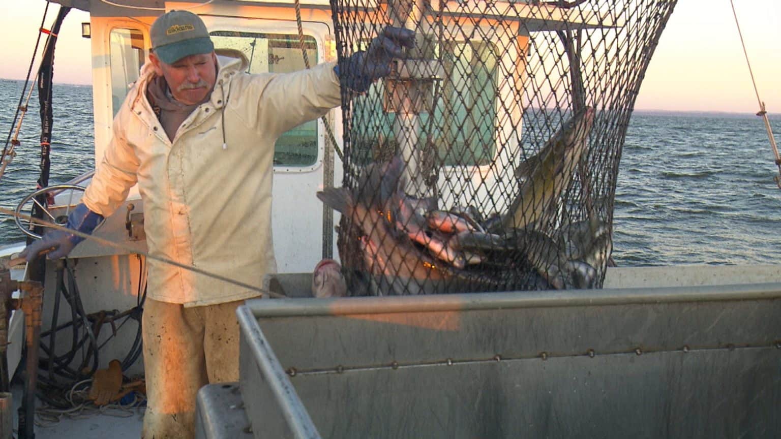 MPT Presents Hours of Chesapeake Bay Stories | Chesapeake Bay Magazine