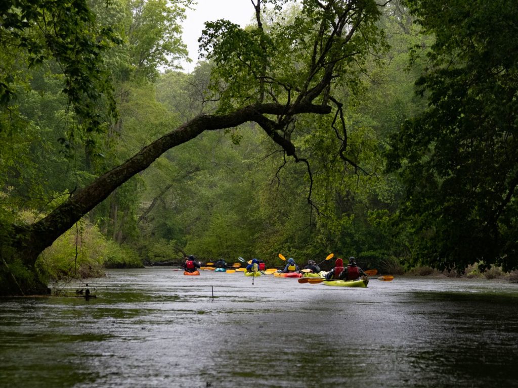 Exploring the Choptank River Chesapeake Bay Magazine
