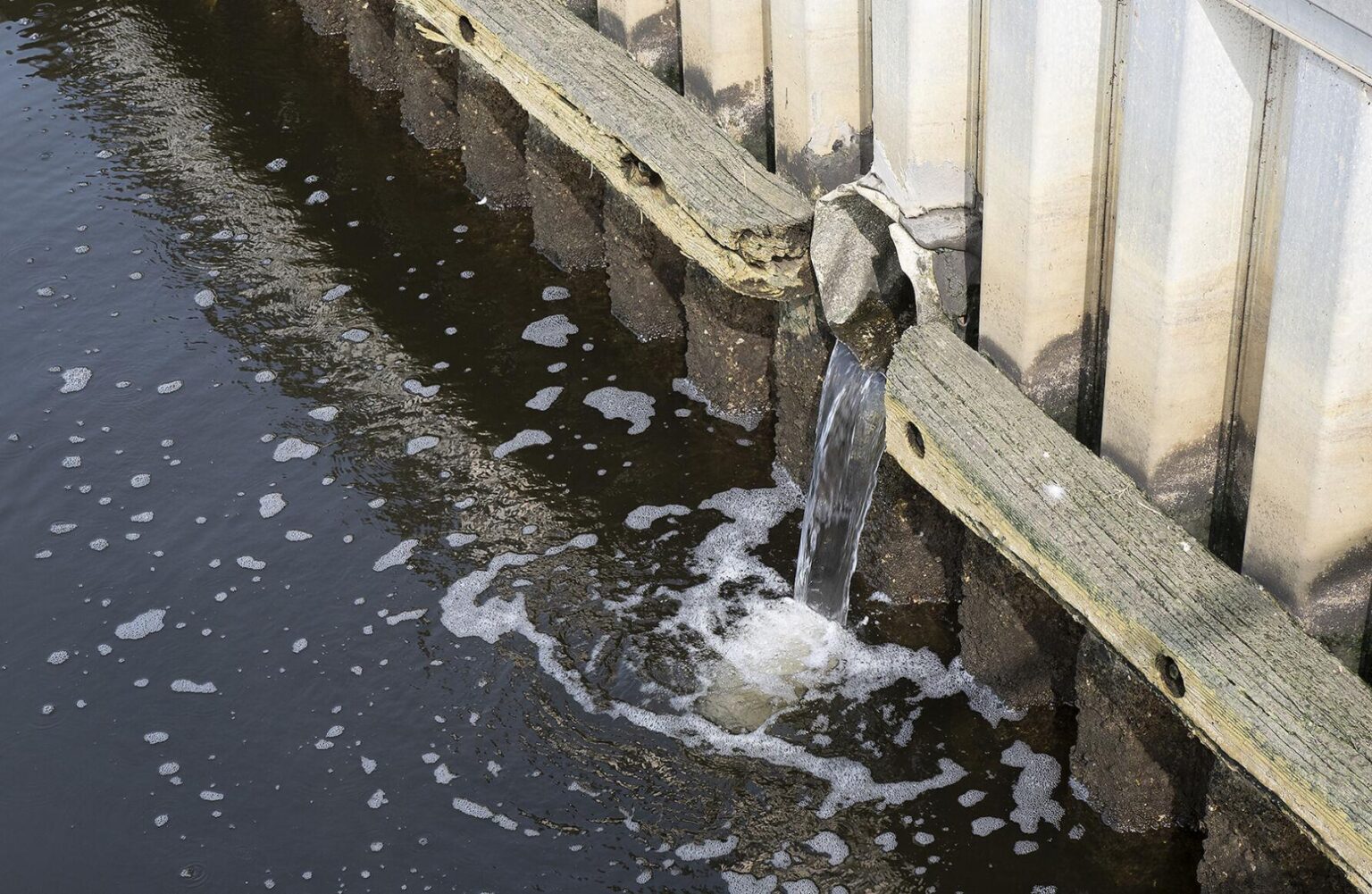 Smallest Bay Dead Zone on Record Predicted This Year Chesapeake Bay