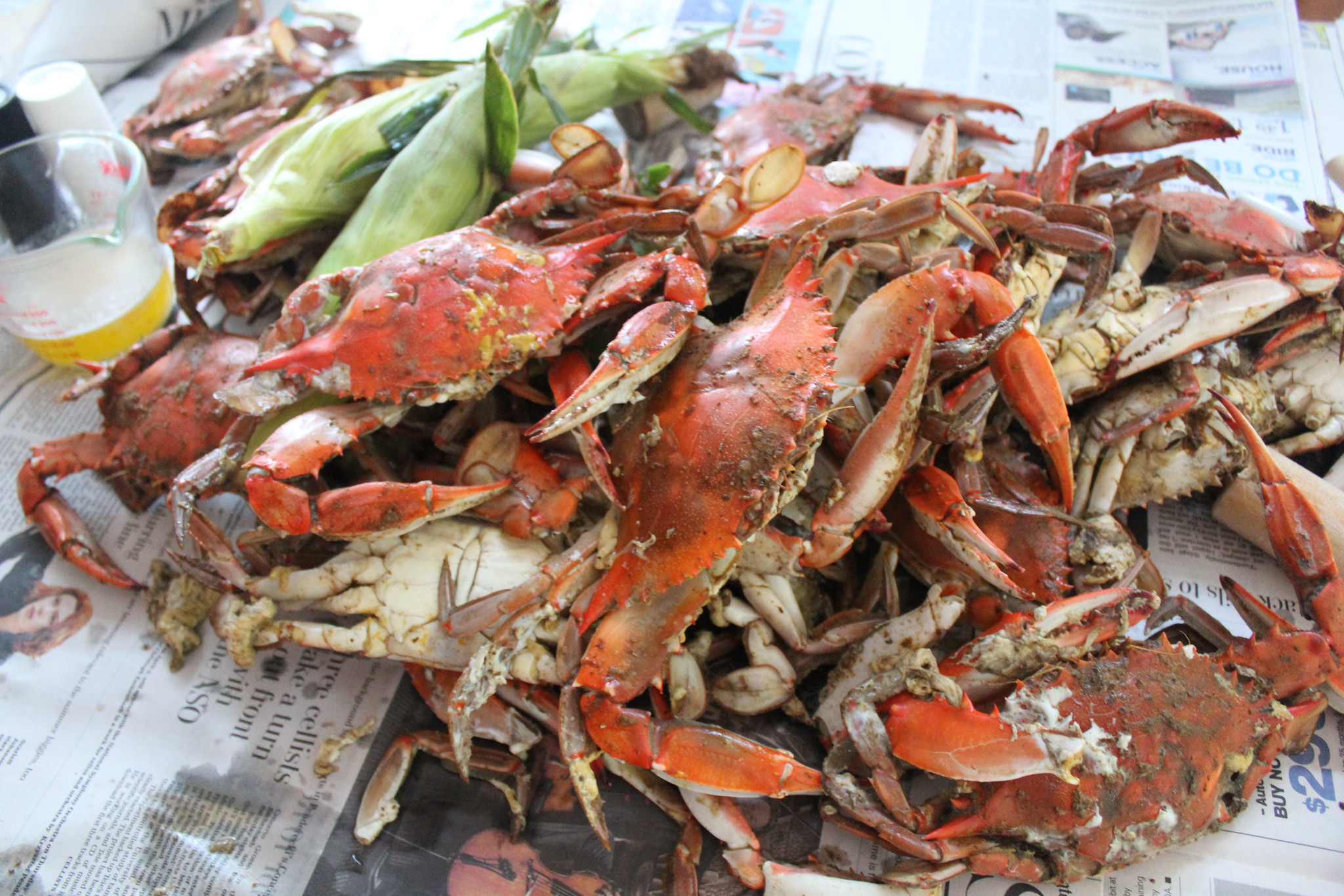 Promising Crab Numbers Don't Translate to Lower Crab Feast Prices