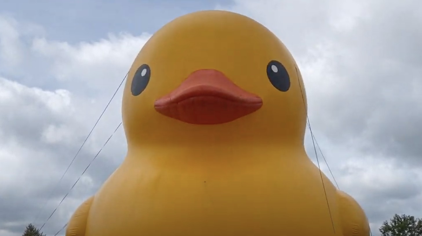 VIDEO: Giant Rubber Ducky Waddles into Bay Waterfronts