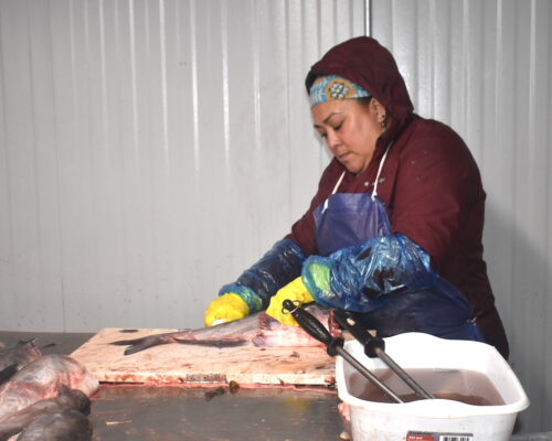 Funding Slashed for VA Blue Catfish Commercial Fishery
