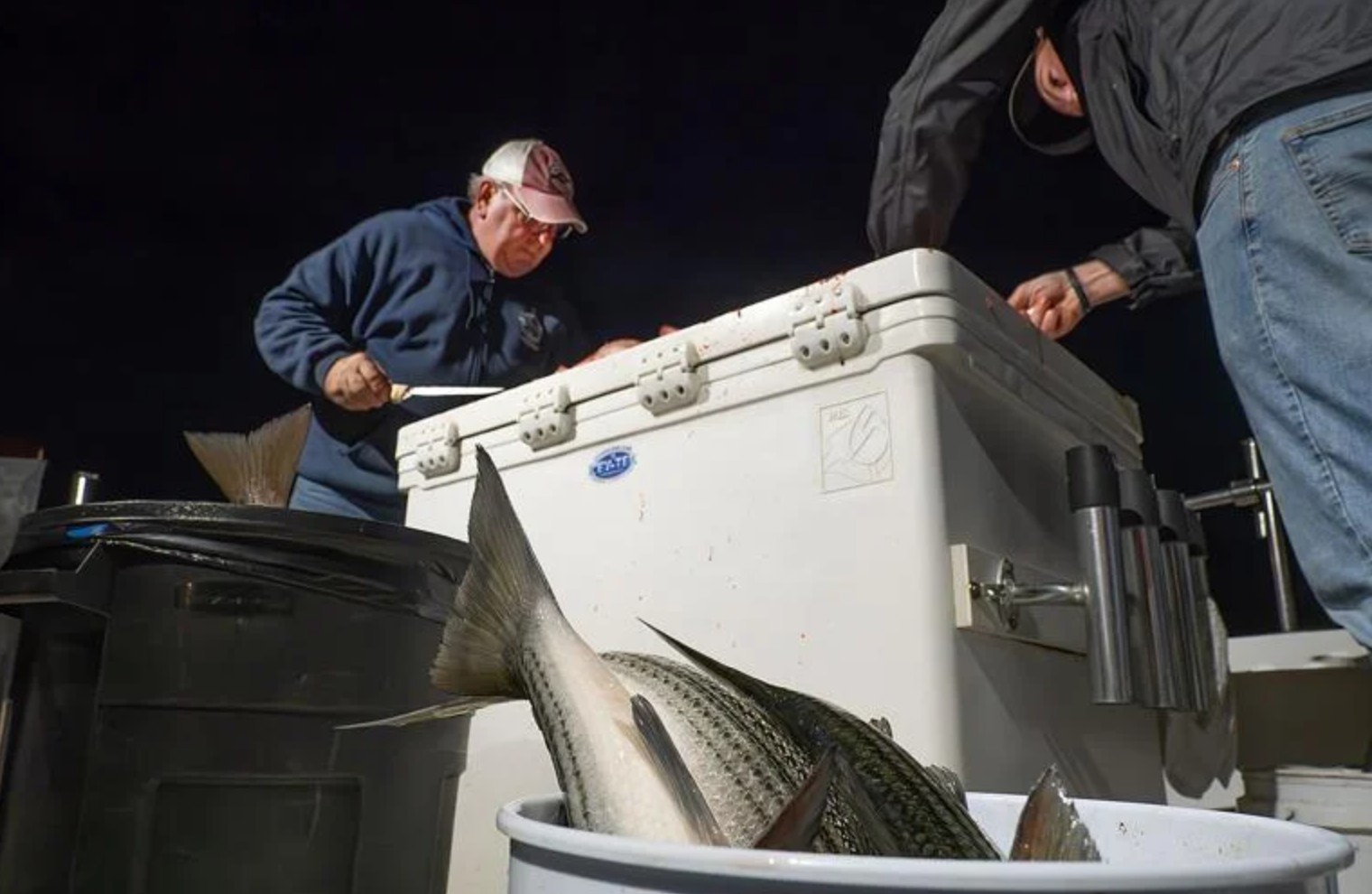 Watermen, Charter Captains Weigh in on Impact of New Rockfish Limits