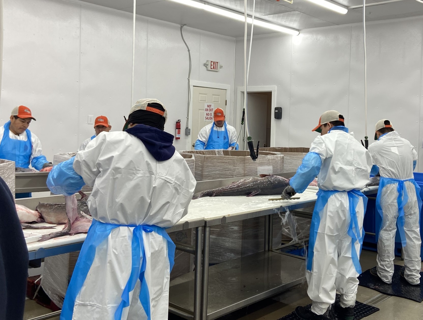 Processed Catfish U.S. Senators, Maryland Celebrate $4.5 Million in Commercial Blue ...