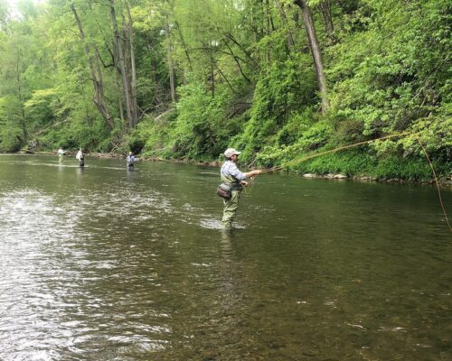 First-Time Fly Fishing: Here’s How to Break Into the Sport