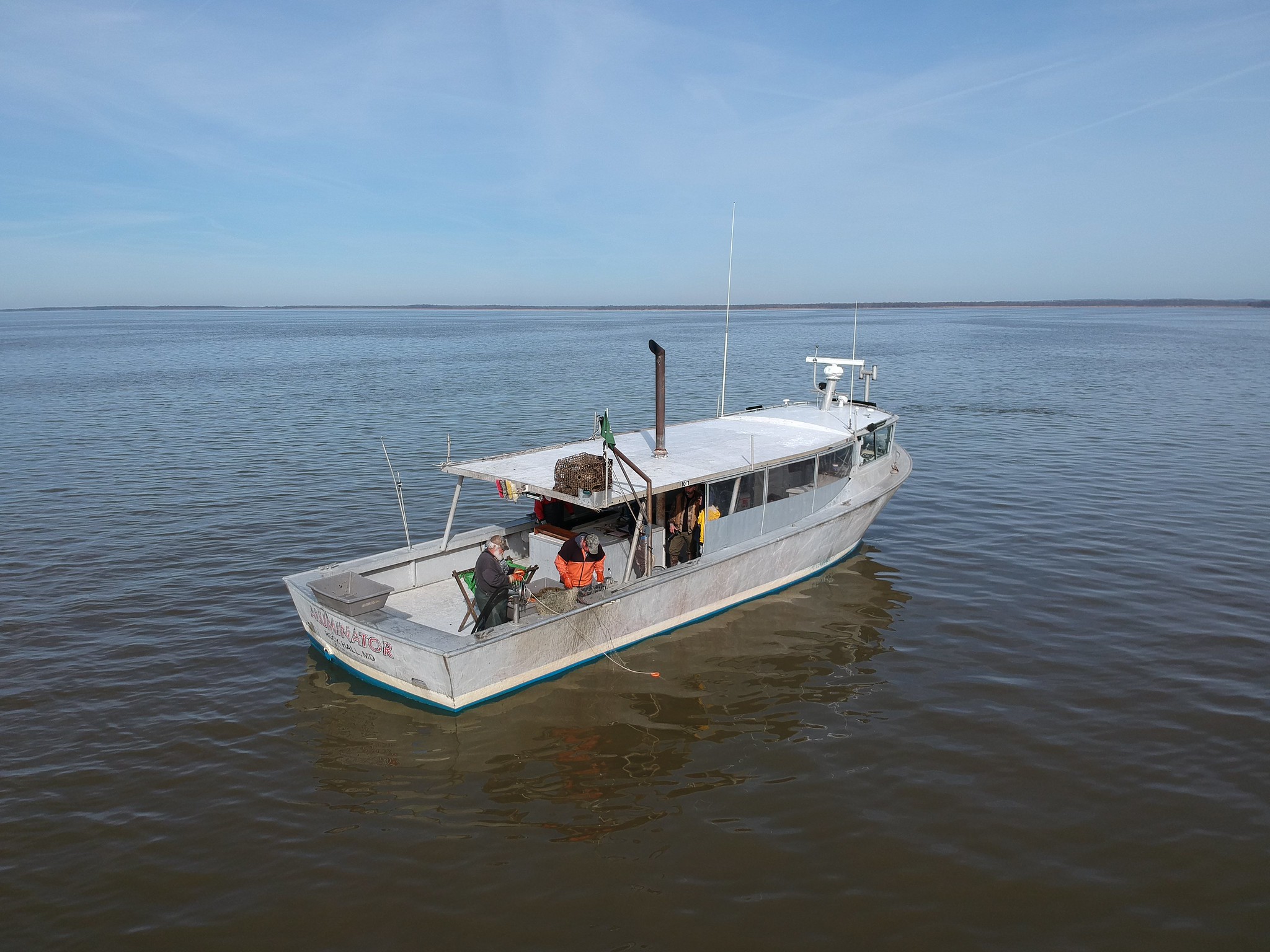 Striped Bass Study Sheds Light on Female Breeding Chesapeake Bay Magazine