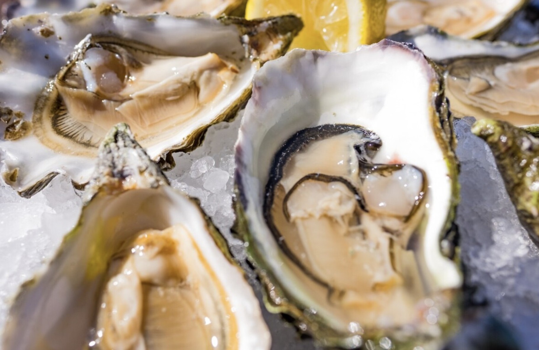 Celebrate National Oyster Week This August (Don't Wait for the "R