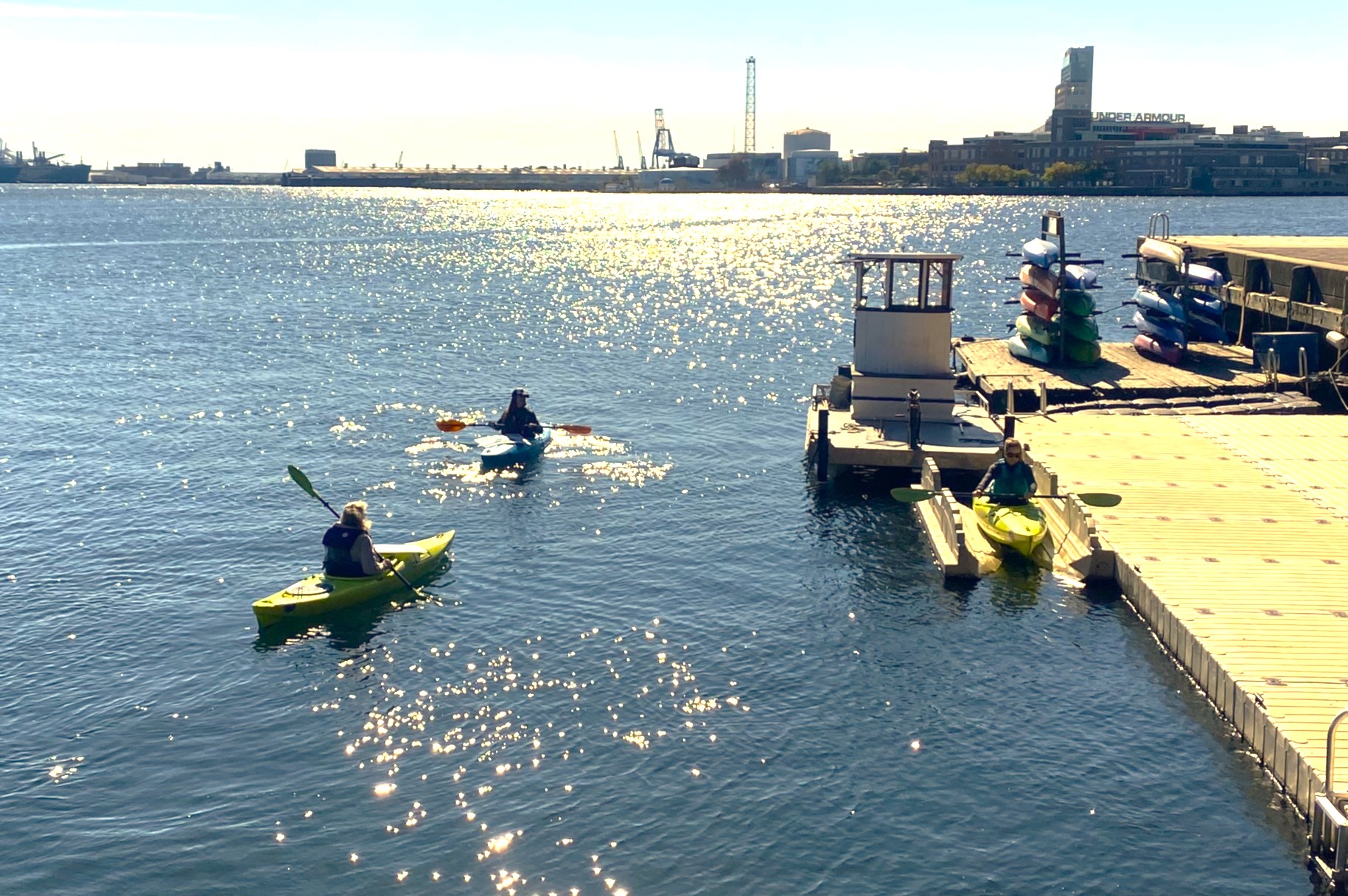 Inner Harbor Ecosystem Gets "C" Grade, City Expands Swimming Events