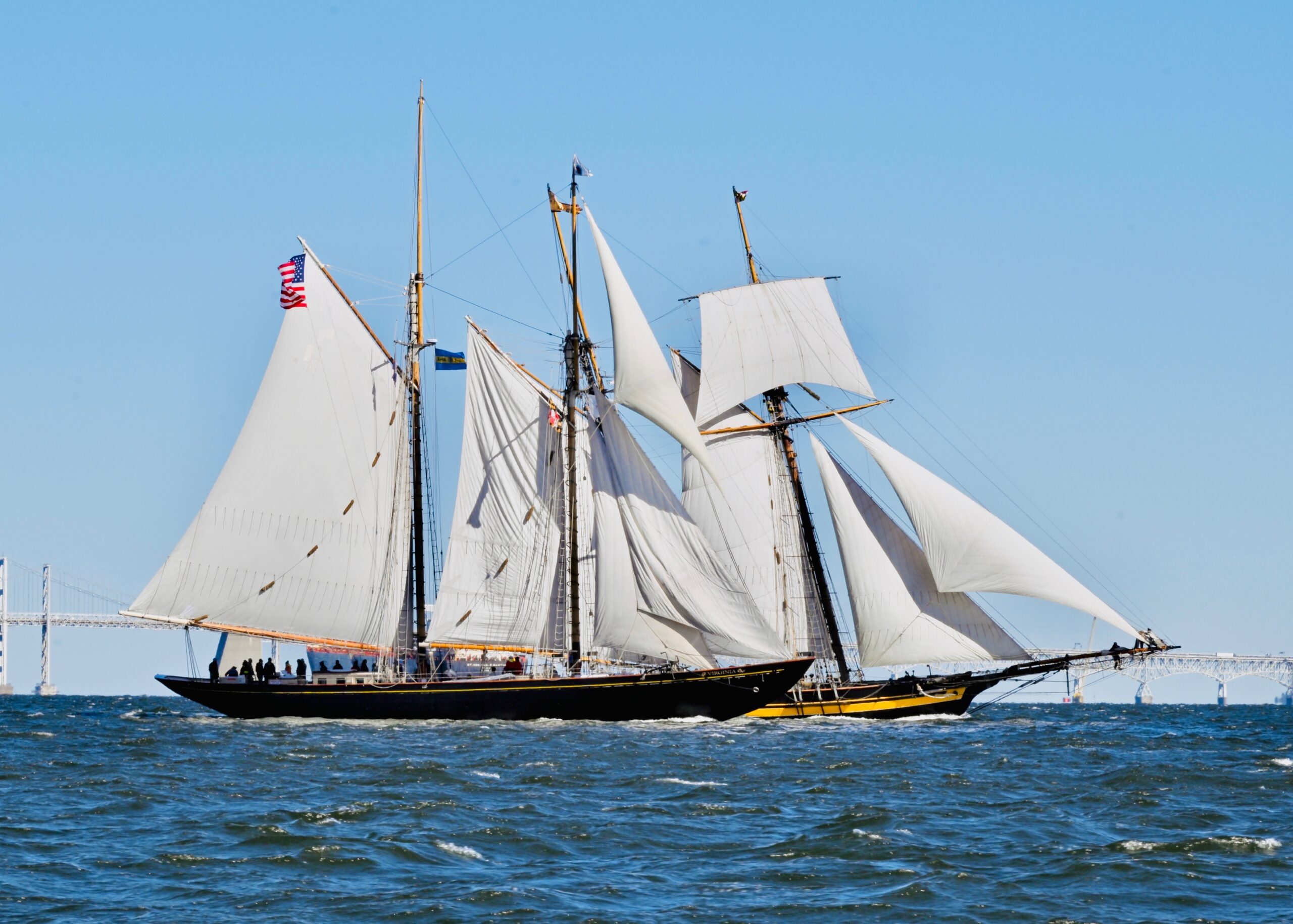 Schooner Race Fleet Flies Down the Bay in Competitive, Fast GCBSR
