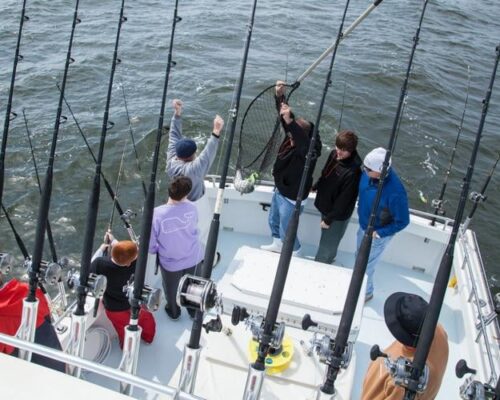 Fishery Managers Hold Fire on Rockfish Catch Limits