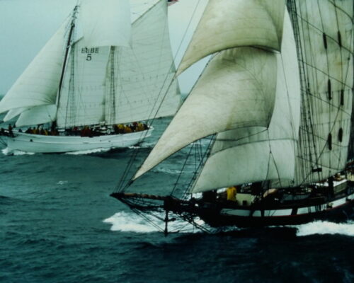 Fifty Years of Pride