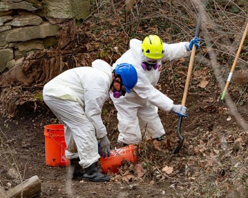 ‘Back to what it was’: DC sewage response shifts to cleanup