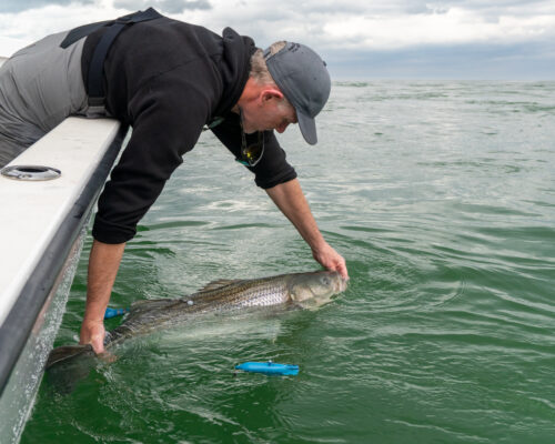 Striped Bass Initiative Visits the Chesapeake