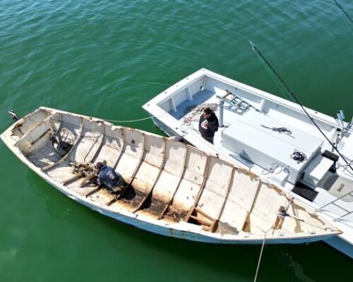 Naturalist’s boat becomes fish habitat in Chesapeake Bay