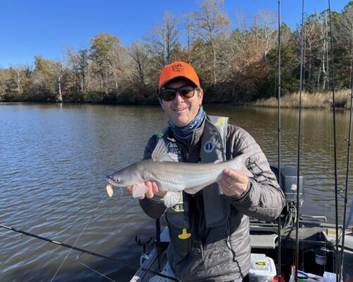 What to Do About Blue Catfish? Enjoy ‘Em!