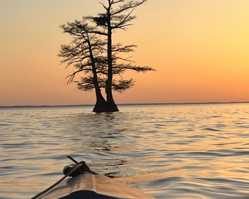 From Worst to First: James River Association Celebrates Fifty Years of Stewardship for America’s Founding River